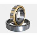 NF28/1000 cylindrical roller bearing
