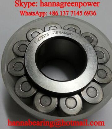 F-229073.RN Cylindrical Roller Bearing For Printing Machine