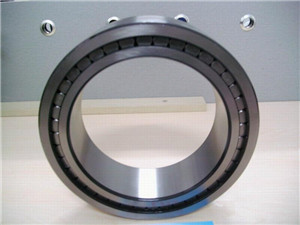 NCF1860V Single-Row Full Complement Cylindrical Roller Bearing