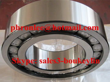 NJG 2322 Cylindrical Roller Bearing 110x240x80mm