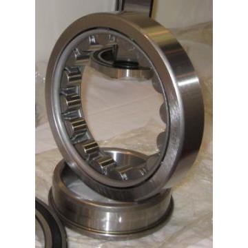 NW1829 bearing
