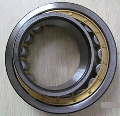 NU219E Cylindrical Roller Bearing