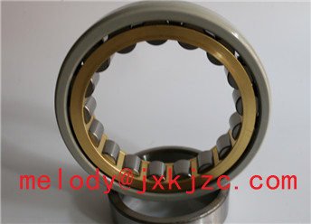 NU332ECM/C3VL0241 insulated bearing