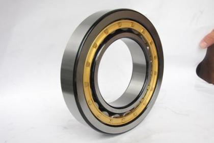 SSNU305 bearing