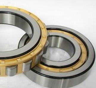 N1007K.M1.SP cylindrical roller bearing 35x62x14mm
