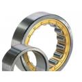 Cylindrical roller bearing NU1007