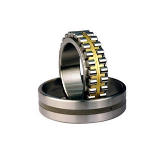 SSNF220 bearing
