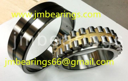 B3182134K Cylindrical roller bearing 170x260x67mm