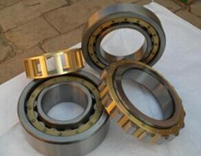 NU 18/1600 Cylindrical Roller Bearing 1600x1950x155mm