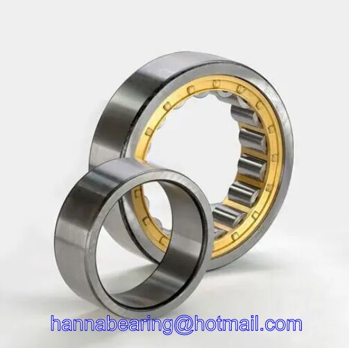 NUP309ECP Cylindrical Roller Bearing 45x100x25mm
