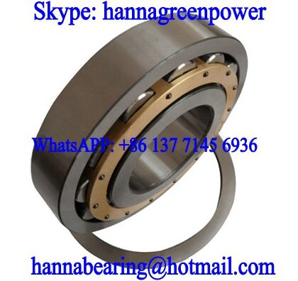 100RP02 Single Row Cylindrical Roller Bearing 100x180x34mm