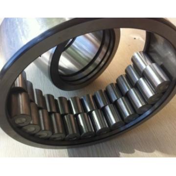 ZM260B Cylindrical Roller Bearing for coal cutter