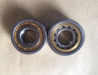 12204 K2 Cylindrical Roller Bearing 20x47x14mm