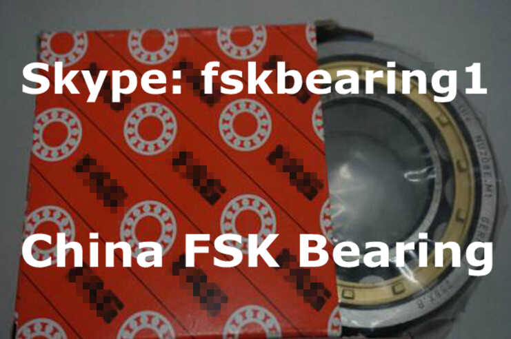 558830 Cylindrical Roller Bearing