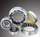 N220E/P6 electrical motor cylindrical roller bearing