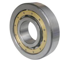 SSNU205 bearing