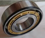 NU202E.TVP2 bearing 200x310x132mm