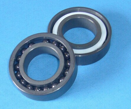 6301 ceramic bearing