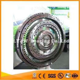 EX200-5 slew bearing for crane