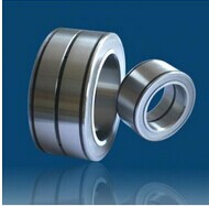 SL045016 Cylindrical roller Bearing