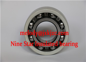 6019/C3J20C insulated bearing