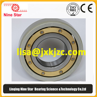 Insulating bearings 6309-M-J20AA-C4 Insulated bearings