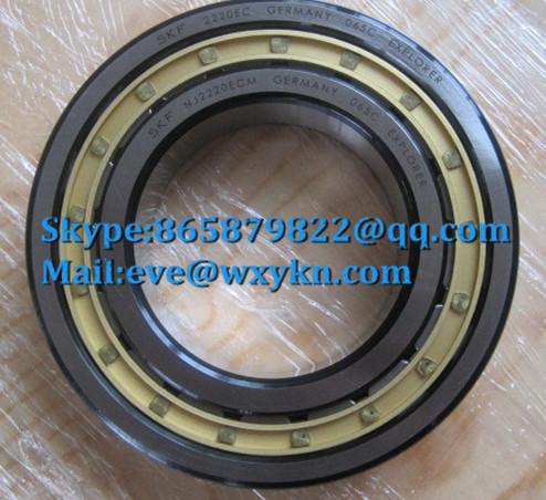 NJ2220ECM bearing 100x180x46mm