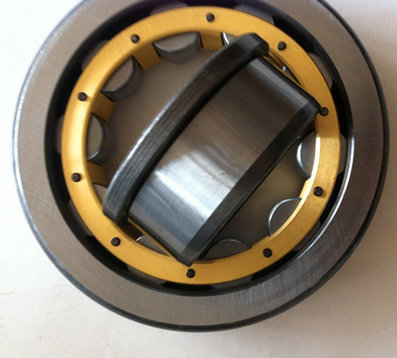 NU 19/670 cylindrical roller bearing 670x900x103mm