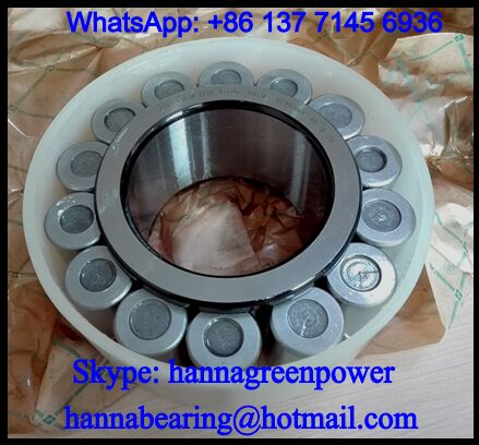 F-229076.02.RN Cylindrical Roller Bearing / Reducer Gearbox Bearing