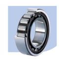 cylindrical bearing N8/500X2Q4/W33, 28/500QK bearing