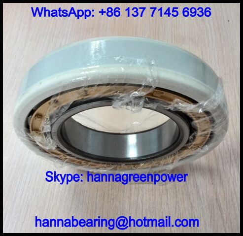 NU 1011 ECM/C3VA3091 Insocoat Cylindrical Roller Bearing 55x90x18mm