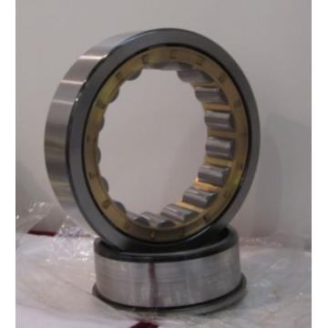 NCF1852V bearing