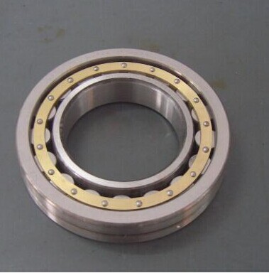 NU 320EM single-row cylindrical roller bearing 100*215*47mm