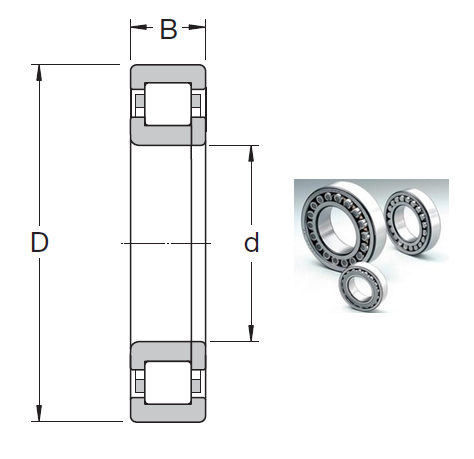 NUP 2214 ECP Cylindrical Roller Bearings 70*125*31mm