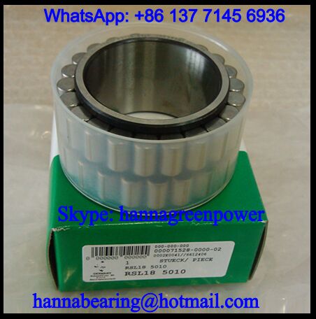 F-209098.01.N4U Full Complement Cylindrical Roller Bearing