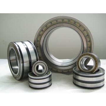 NNF5020ADB-2LSV Cylindrical Roller bearing