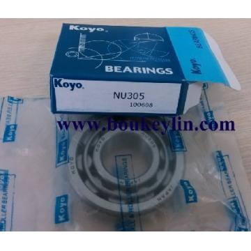 NU305 bearing 25 X 62 X 17 mm