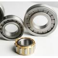 INA bearing N1010 Cylindrical Roller Bearings