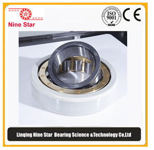 NU226EMC3VL0241 Insulated bearing for generator motors
