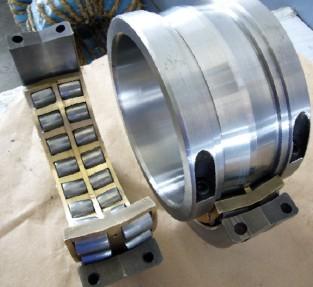 BS2B321610 Split Bearing