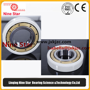 6316-M-J20AA-C3 Insulated bearings 80x170x39mm