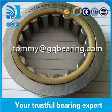 F-233504.1 Full Complement Cylindrical Roller Bearing