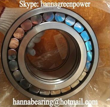 MZ240 Cylindrical Roller Bearing