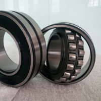SR-BS2-2211-C-CSPL spherical roller bearings