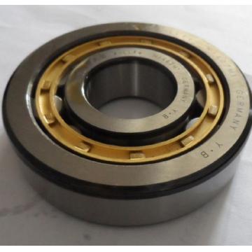 NJ305ECP bearing 25x62x17mm
