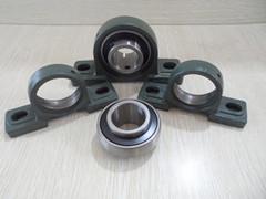 UCP203 bearing
