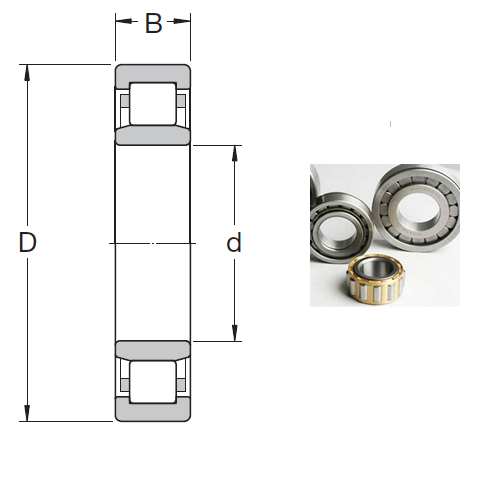 NU 2217 ECP Cylindrical Roller Bearings 85*130*36mm