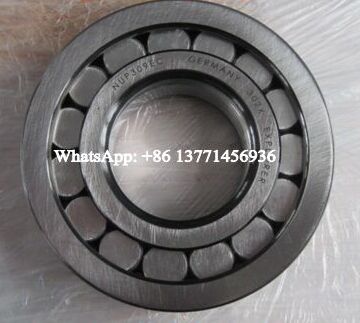 NUPK310-A-1NR Cylindrical Roller Bearing 50x110x27mm