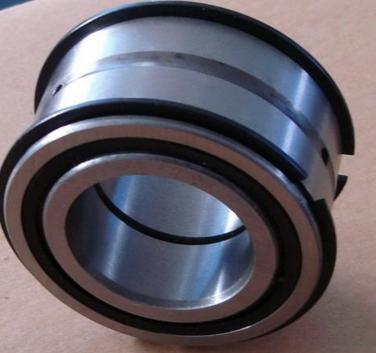 SL04170-PP-2NR full complement cylindrical roller bearing price
