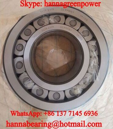 SL19 2319 Cylindrical Roller Bearing 95x200x67mm